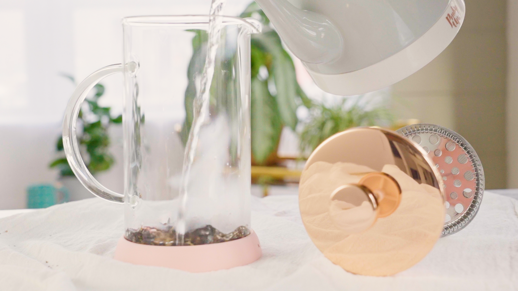 Pinky Up Riley Casablanca Glass Tea Press Pot, Coffee Maker